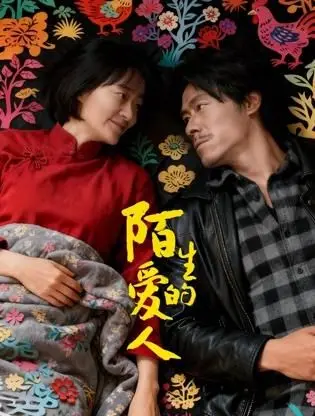 陌生的爱人（2026），主演：陈非、王雷方、刘程程、马瑞蔓 高清海报