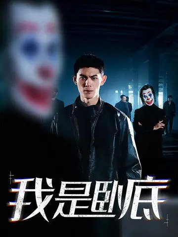 我是卧底 已完结 2025