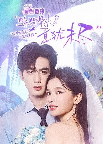 野狗骨头，意犹未尽（2026），主演：宋威龙、张婧仪 高清海报