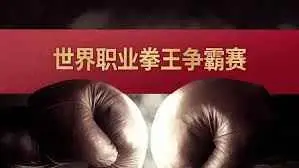 世界职业拳王争霸赛（2024） 高清海报