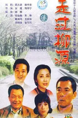 走过柳源（1999），主演：王庆祥、安建、鲍海鸣、朱琳、周锦堂、张先衡、刘书宁 高清海报