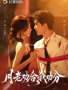 月老劝合我劝分（2026），主演：杨泽、崔一梁 高清海报