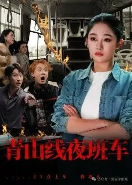 青山线夜班车（202），主演：张亚迪 魏战 高清海报
