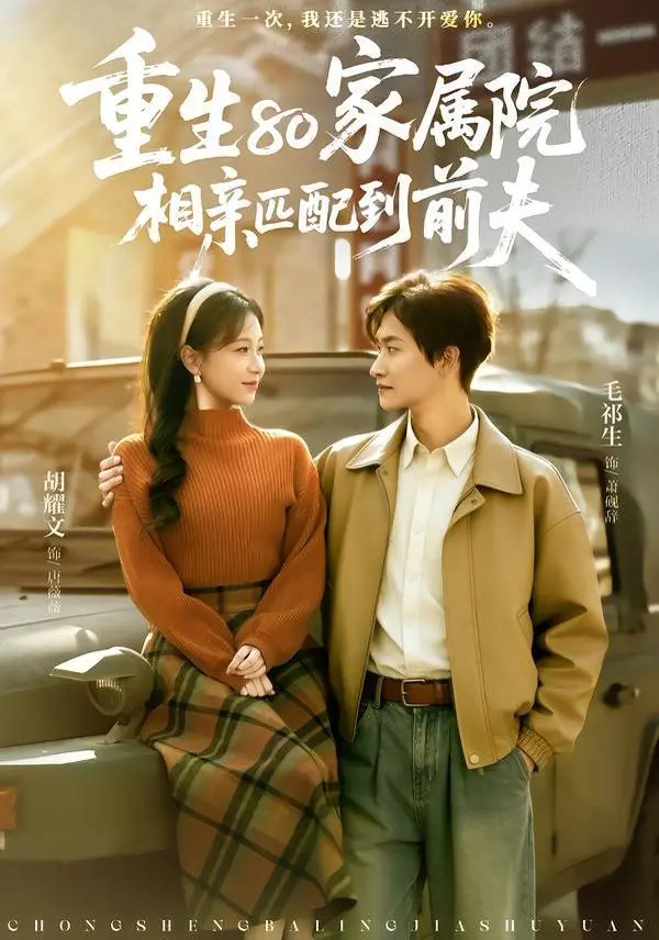 重生80家属院，相亲匹配到前夫（2006），主演：毛祁生、胡耀文 高清海报