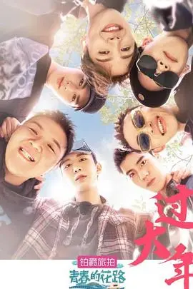 青春的花路（2019），主演：艾福杰尼、范丞丞、王子异、费启鸣、王琳凯、朱正廷、尤长靖、蔡尧 高清海报