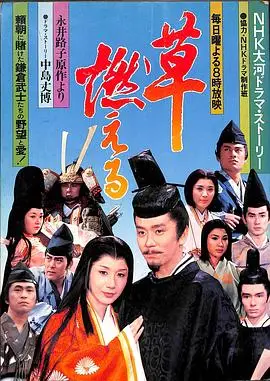 草燃（1979），主演：石坂浩二、松平健、岩下志麻、大谷直子、金子信雄、金田龙之介、岩崎加根子、多岐川裕美、真野响子、高桥昌也、大原诚、长塚京三、北村总一朗、松橋隆、松坂庆子、柴俊夫、泷田荣、乡裕美、江原真二郎、池上季实子、草笛光子、武田铁矢、伊豫田静弘、1尾上辰之助、2尾上松緑、中山仁、伊吹吾郎、友里千贺子、国广富之、坂口良子、宮崎達也、沢井桃子、筱田三郎、结城忍、西田健、安斎宗紘、東海林通、江口浩之、渡辺紘史 高清海报