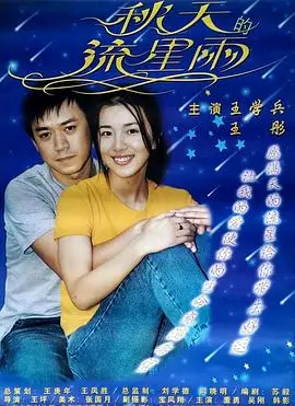 秋天的流星雨（2001），主演：董勇、王彤、王学兵、韩影、王坪 高清海报