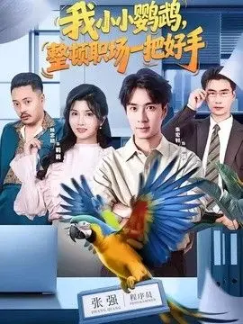 我小小鹦鹉，整顿职场一把好手 全集完结 2026