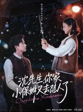 沈先生，你家小保姆又去怼人了（2023），主演：陈政阳 廖银玥 高清海报