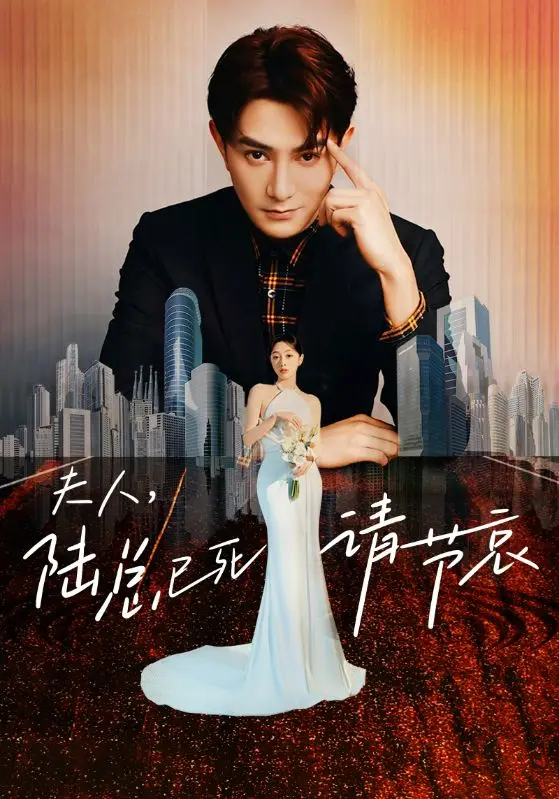 夫人，陆总已死请节哀（2024） 高清海报
