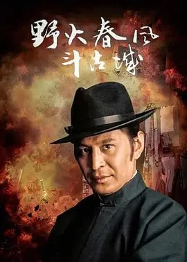 野火春风斗古城1995 高清在线观看