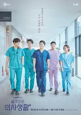机智医生生活 高清在线观看