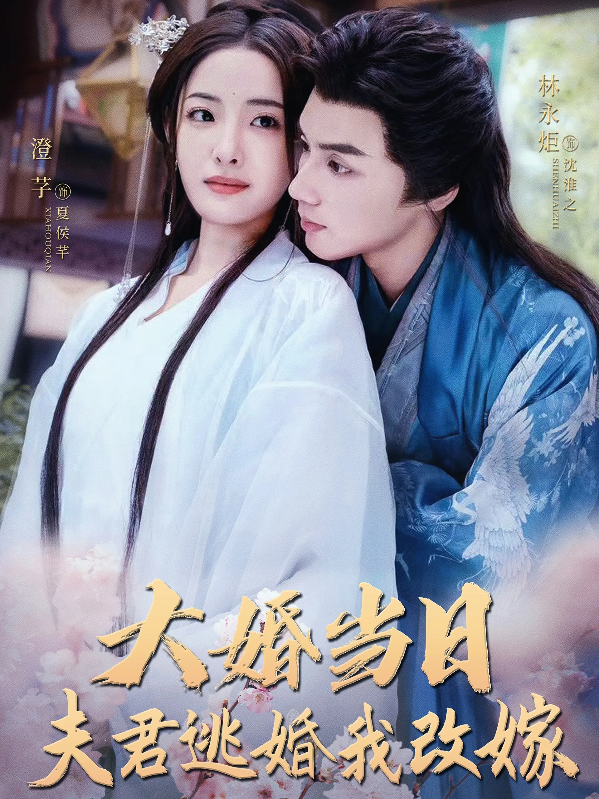 大婚当日夫君逃婚我改嫁 高清在线观看