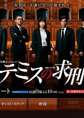 忒弥斯的求刑 高清在线观看