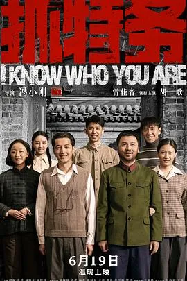 抓特务 高清在线观看